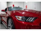 Thumbnail Photo 12 for 2015 Ford Mustang